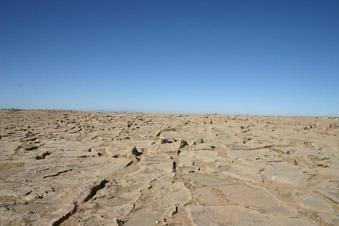 #1: Overview of the confluence point (and view to the North)