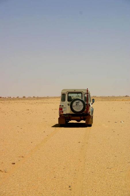 Lonely Landy at the point