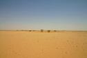 #4: View to the South