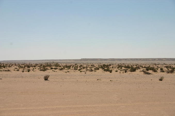 View to the South
