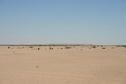 #3: View to the East