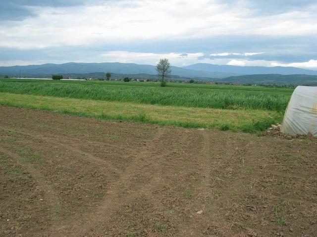 General View of Agricultural Area