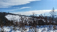#5: South view, downhill, towards ravine