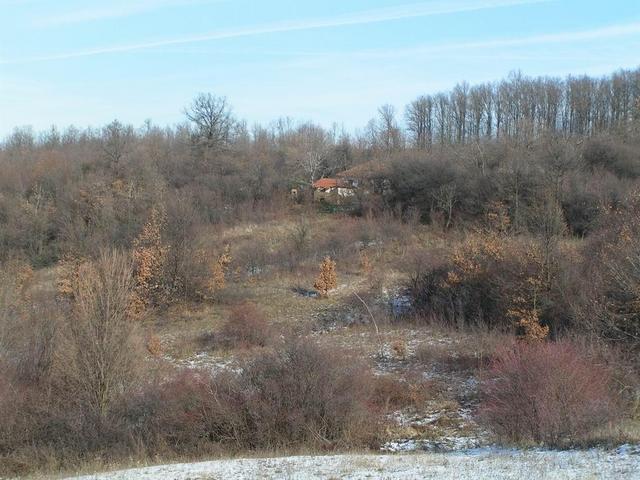 The Abandoned Farm