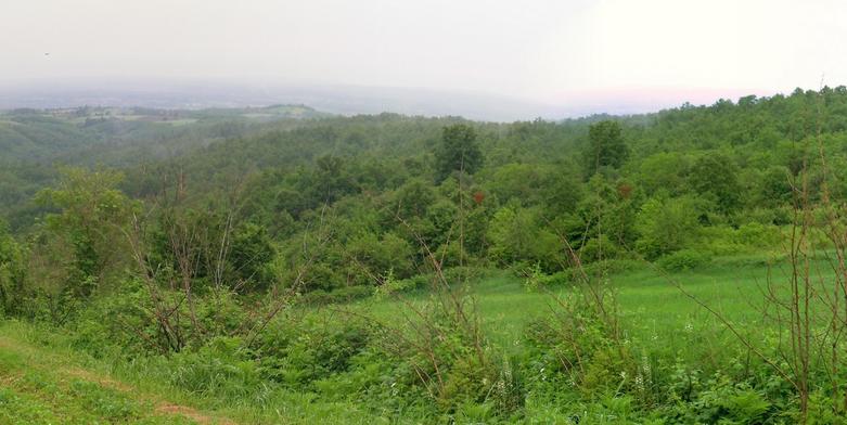 General View to confluence – North West