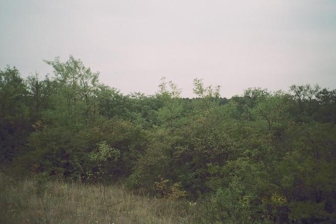 looking towards the confluence, distance: 30 meters