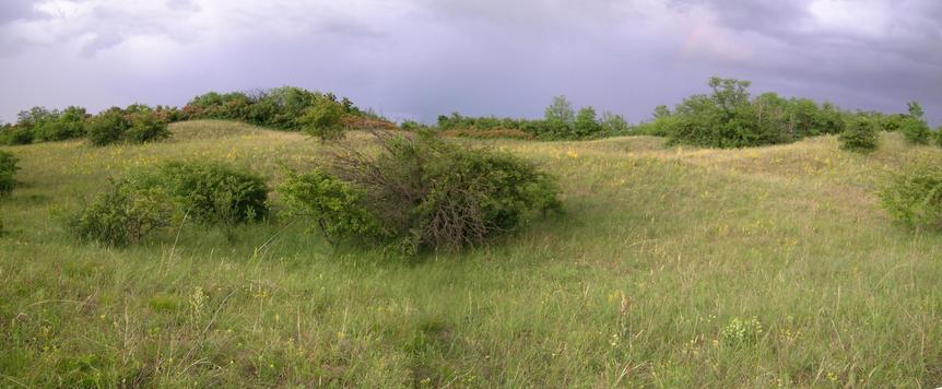 Picturesque, typical landscape north of CP