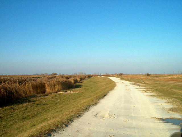 The track to the farm