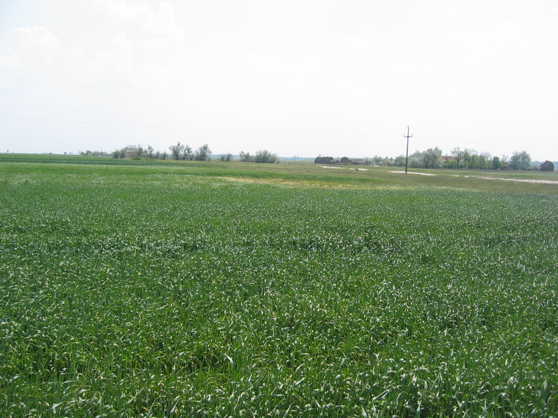 View to the South