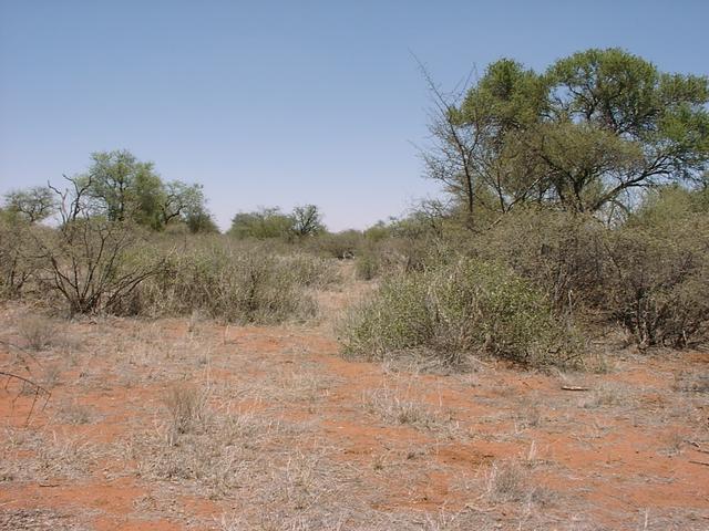 General view of confluence area