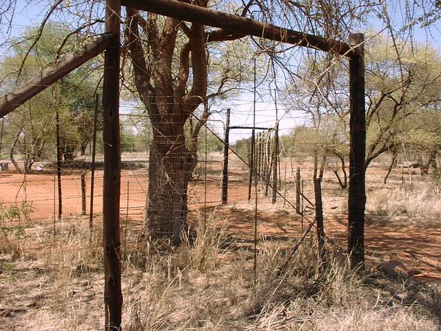 Game fencing west of the Confluence