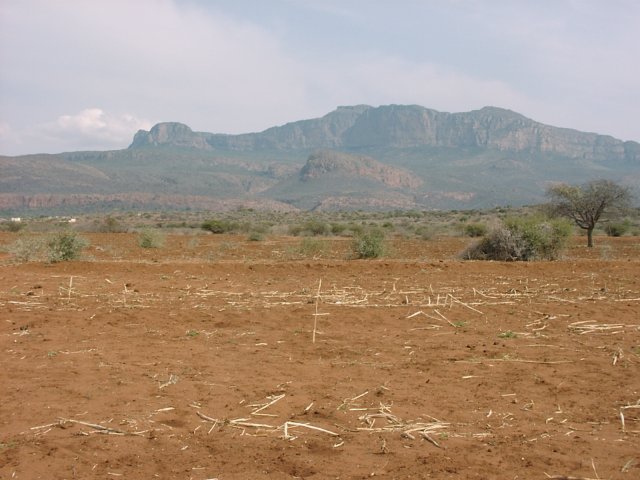 General view of the area