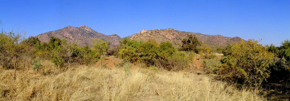 Rock outcroppings to the East