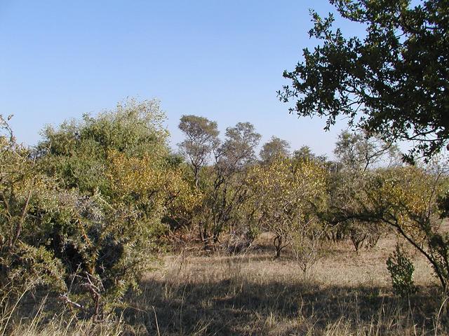 View to the South
