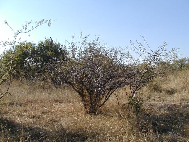 View to the North
