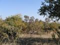 #2: View to the South