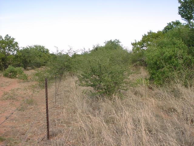 General view of confluence area