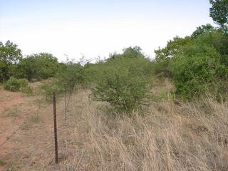 #1: General view of confluence area