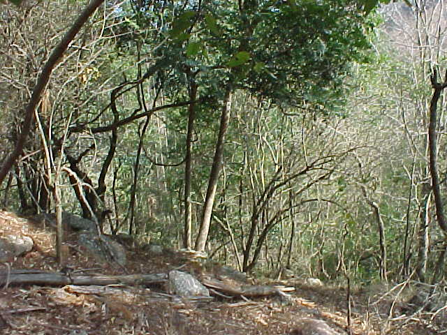 View south