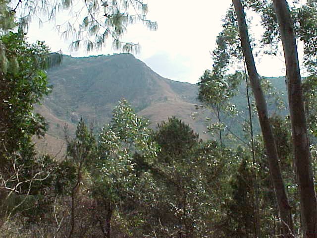 View west