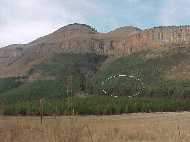 View of Confluence from a distance