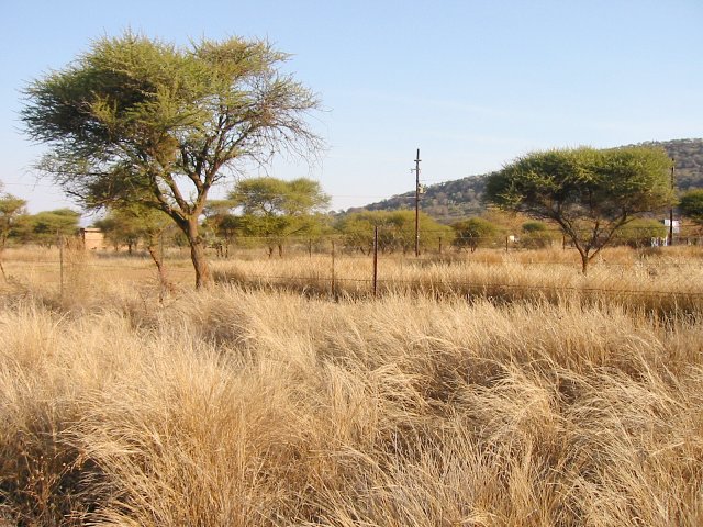 Looking south