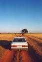 #6: Dirttrack roads in the area, this one very close to Confluence