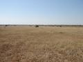 #3: Looking east
