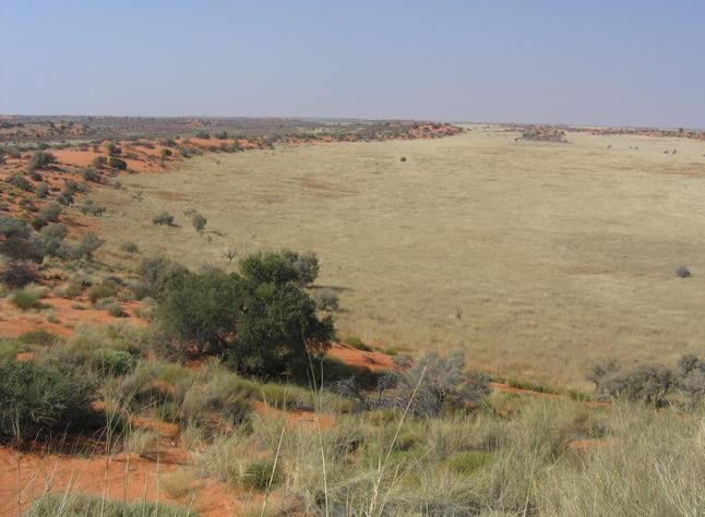 General view of the confluence area