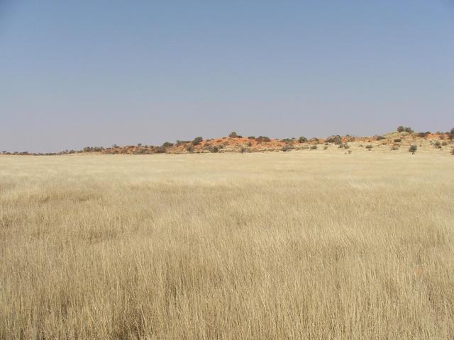 View south from Confluence