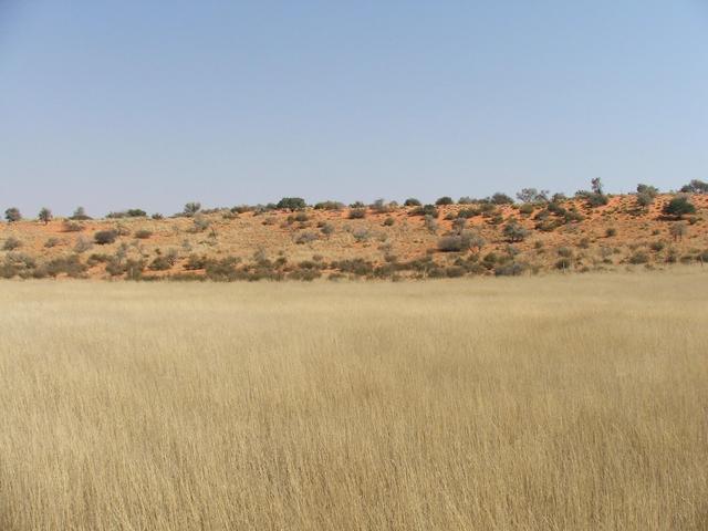 View west from Confluence