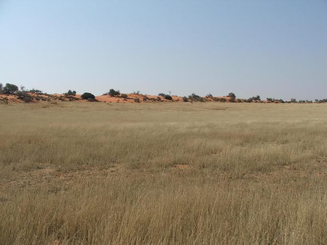 View east from Confluence