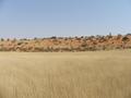 #3: View west from Confluence