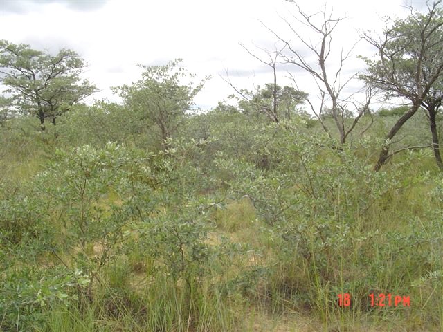 General view