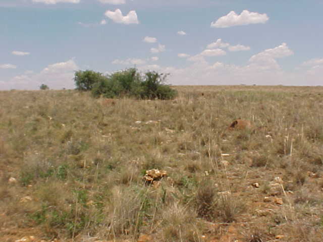 Looking South with cairn in the middle of the foreground