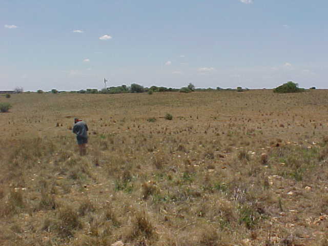 Looking North - Roland was walking away. Windmill in the background and our tiny car on the right side of the horizon