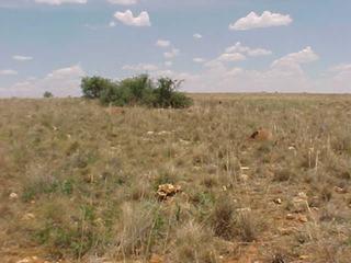 #1: Looking South with cairn in the middle of the foreground