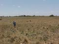 #3: Looking North - Roland was walking away. Windmill in the background and our tiny car on the right side of the horizon