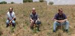 #9: Steven, Roland, and Henning sitting on the cairn under the overhead sun (notice the shadows?)