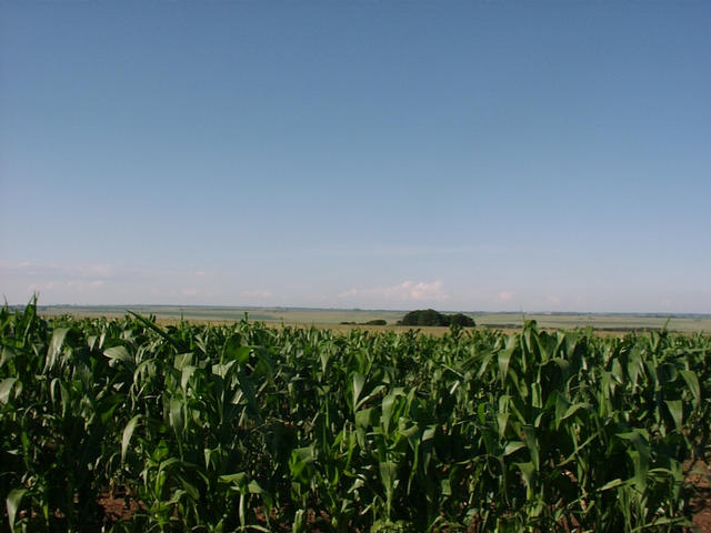 View north