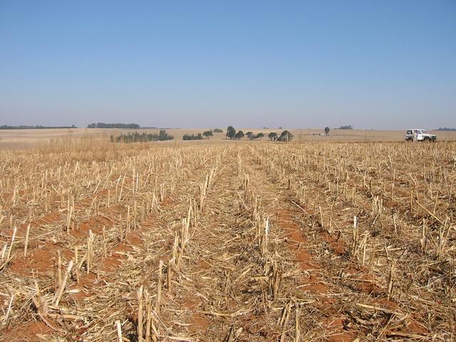 Looking West
