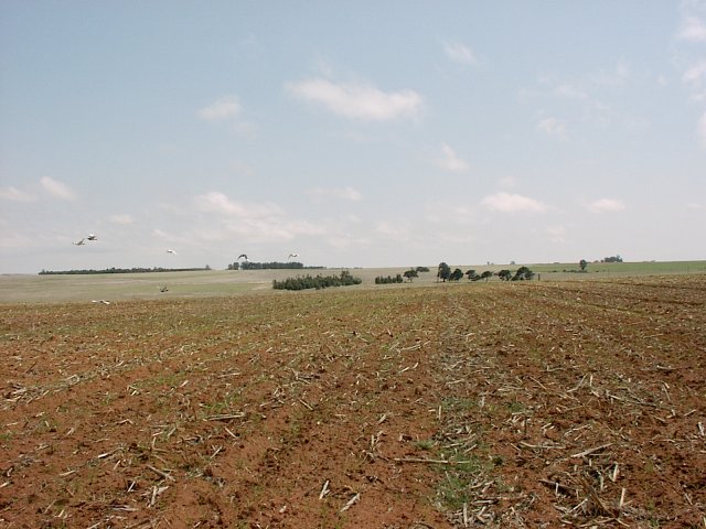 General view of confluence area