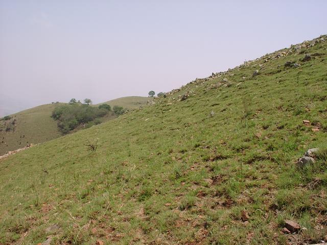 General view of confluence area