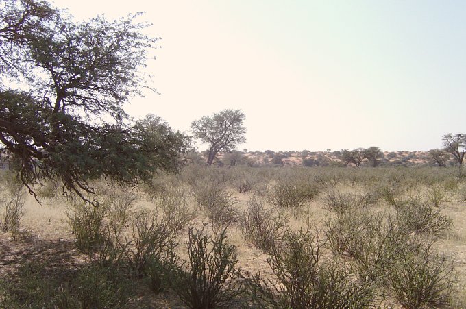 North View