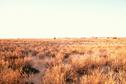 #2: Taken from the Confluence in a northerly direction