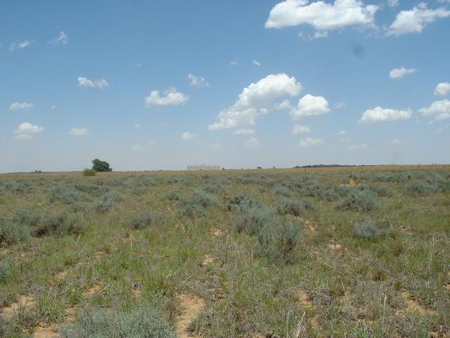 Facing west towards the main road.