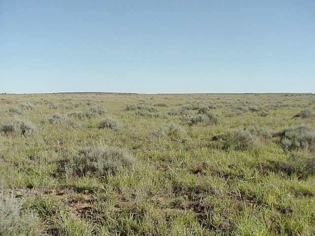 North