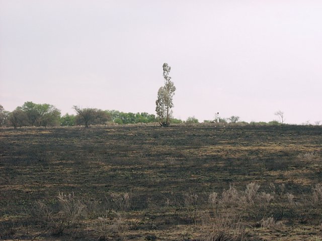 Trig beacon viewed from Confluence