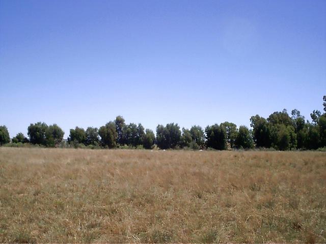 West