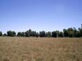 #2: West
